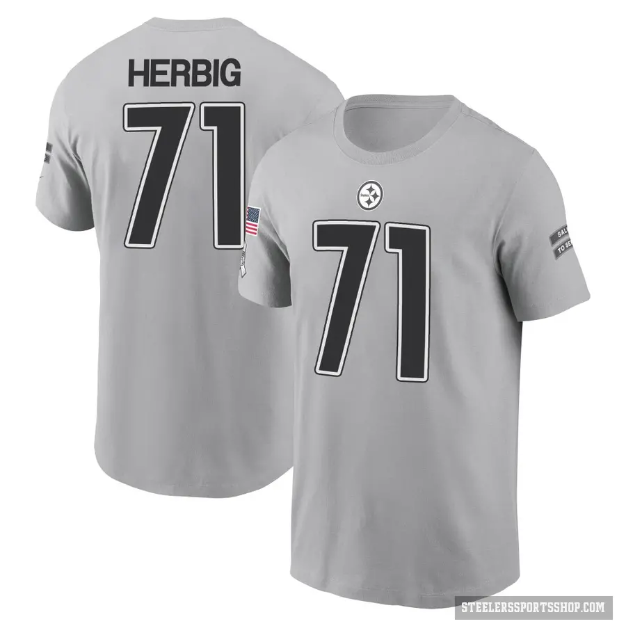 Youth ＃71 Nate Herbig Pittsburgh Steelers Gray 2024 Salute to Service T-Shirt